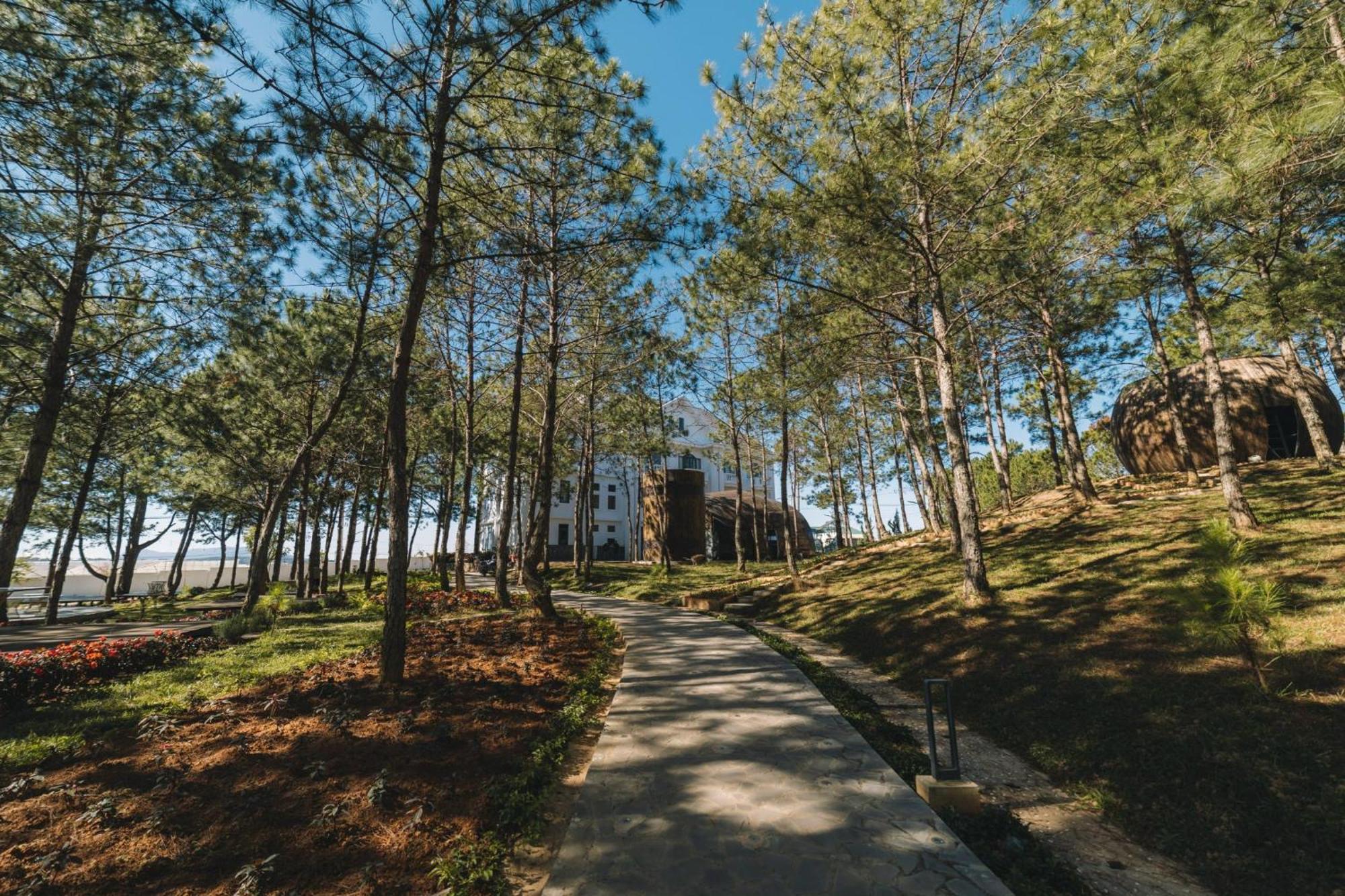 Kim Resort - Khu Nghi Duong Rung La Kim Νταλάτ Εξωτερικό φωτογραφία