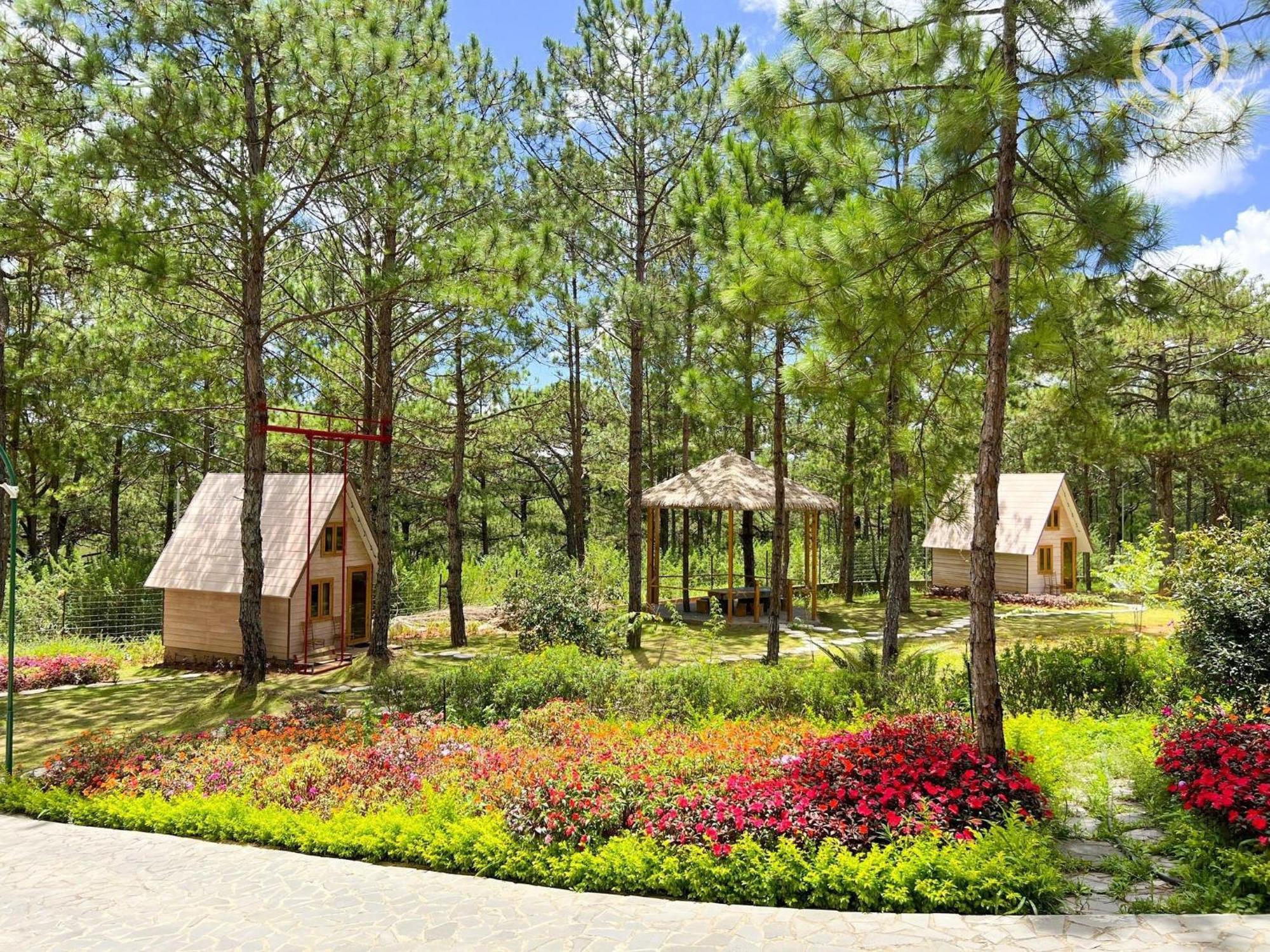 Kim Resort - Khu Nghi Duong Rung La Kim Νταλάτ Εξωτερικό φωτογραφία
