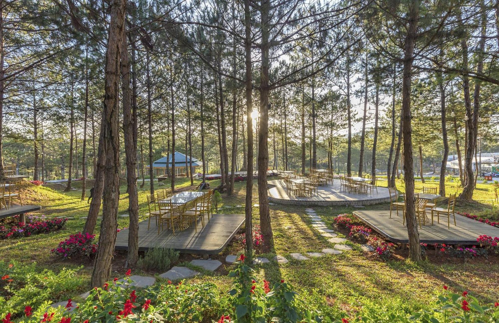 Kim Resort - Khu Nghi Duong Rung La Kim Νταλάτ Εξωτερικό φωτογραφία