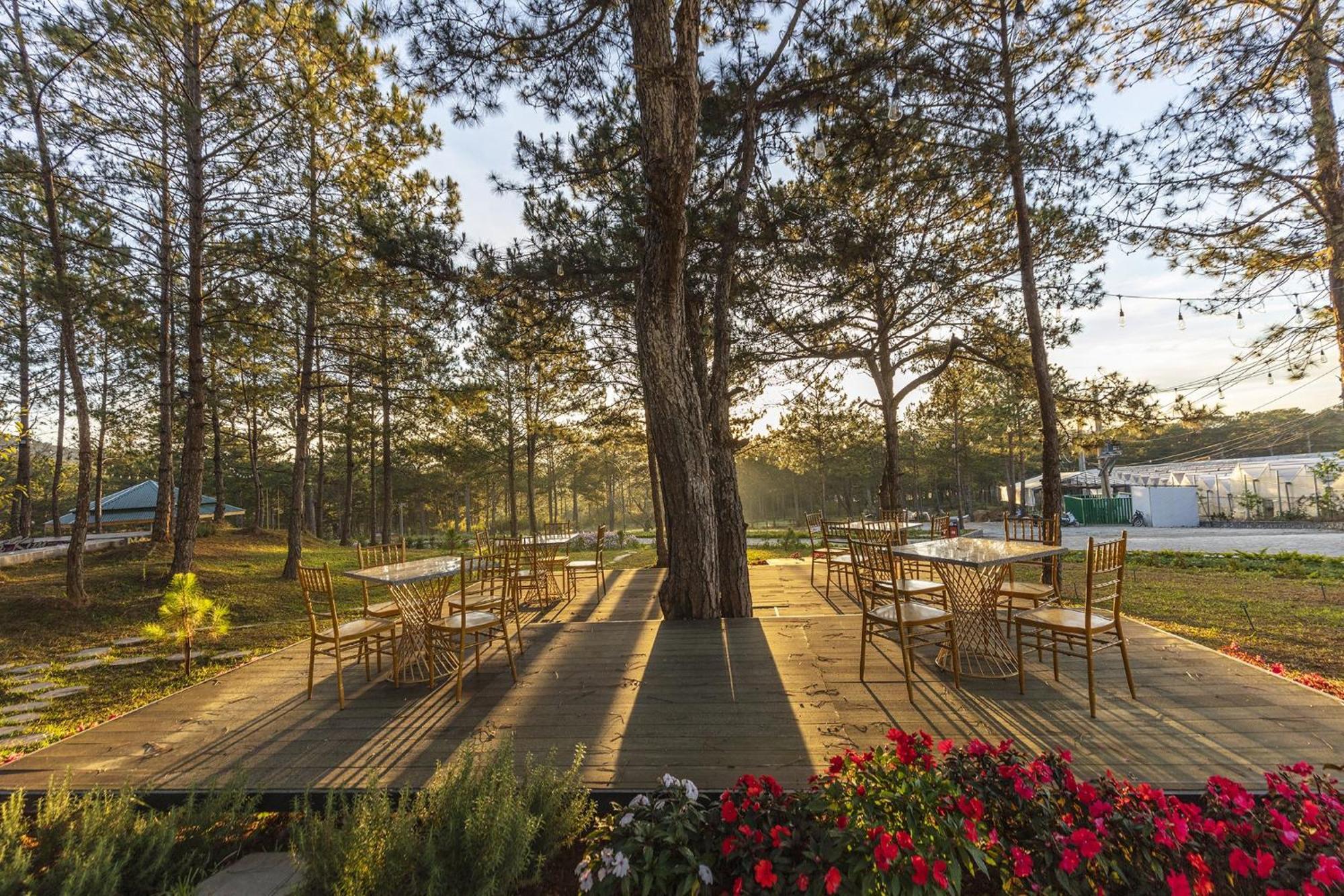 Kim Resort - Khu Nghi Duong Rung La Kim Νταλάτ Εξωτερικό φωτογραφία