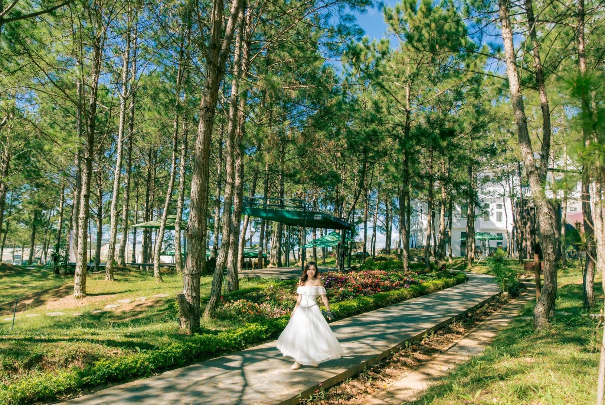 Kim Resort - Khu Nghi Duong Rung La Kim Νταλάτ Εξωτερικό φωτογραφία